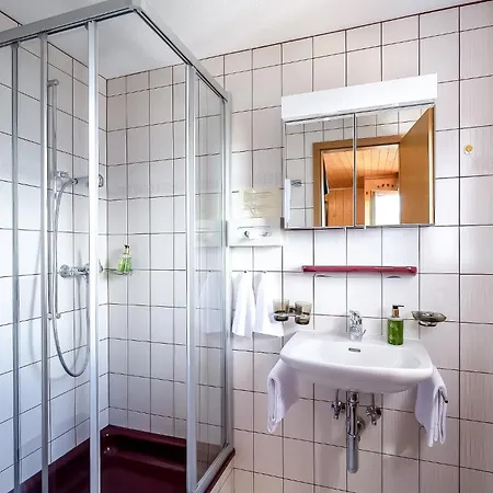 Alpfrieden Bettmeralp