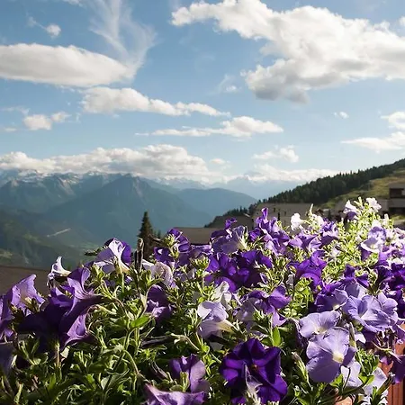 Alpfrieden Hotel Bettmeralp